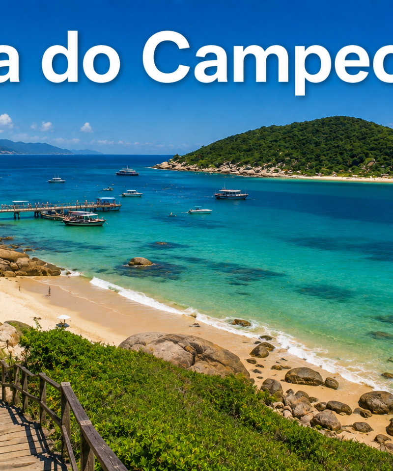 Ilha