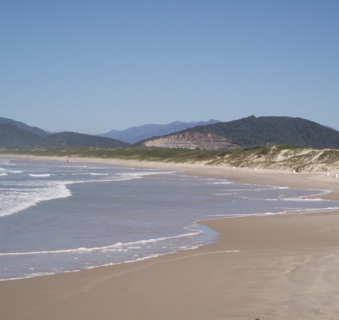 Praia da Joaquina beach in Florianópolis, Brazil
